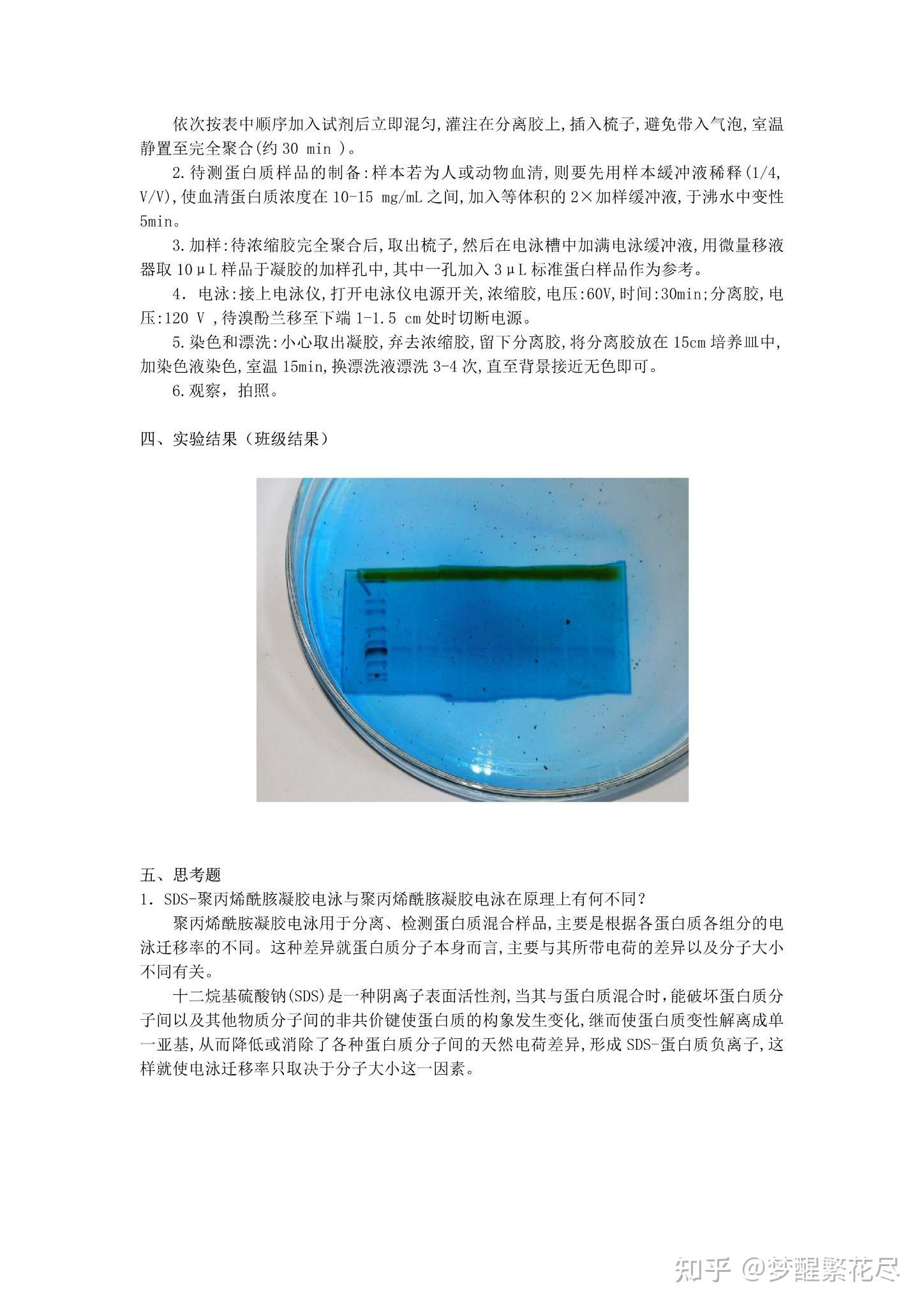 生物化学实验报告⑤sds聚丙烯酰胺凝胶电泳测定蛋白质相对分子质量