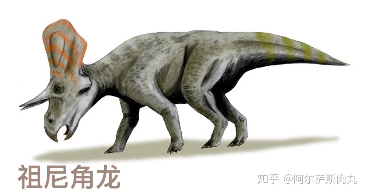 eratops andrewsi)【生存年代】:上白堊紀坎潘階;分佈於蒙古國和