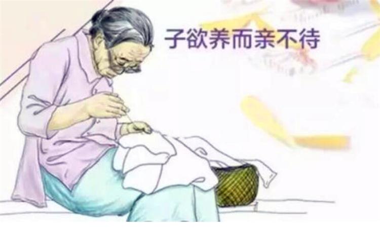 子欲养而亲不待 知乎