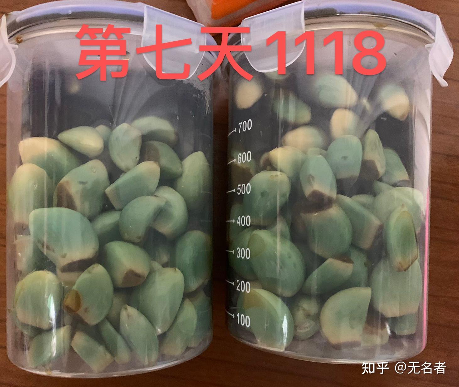 腊八蒜太爱绿了（七天变绿全过程） - 知乎