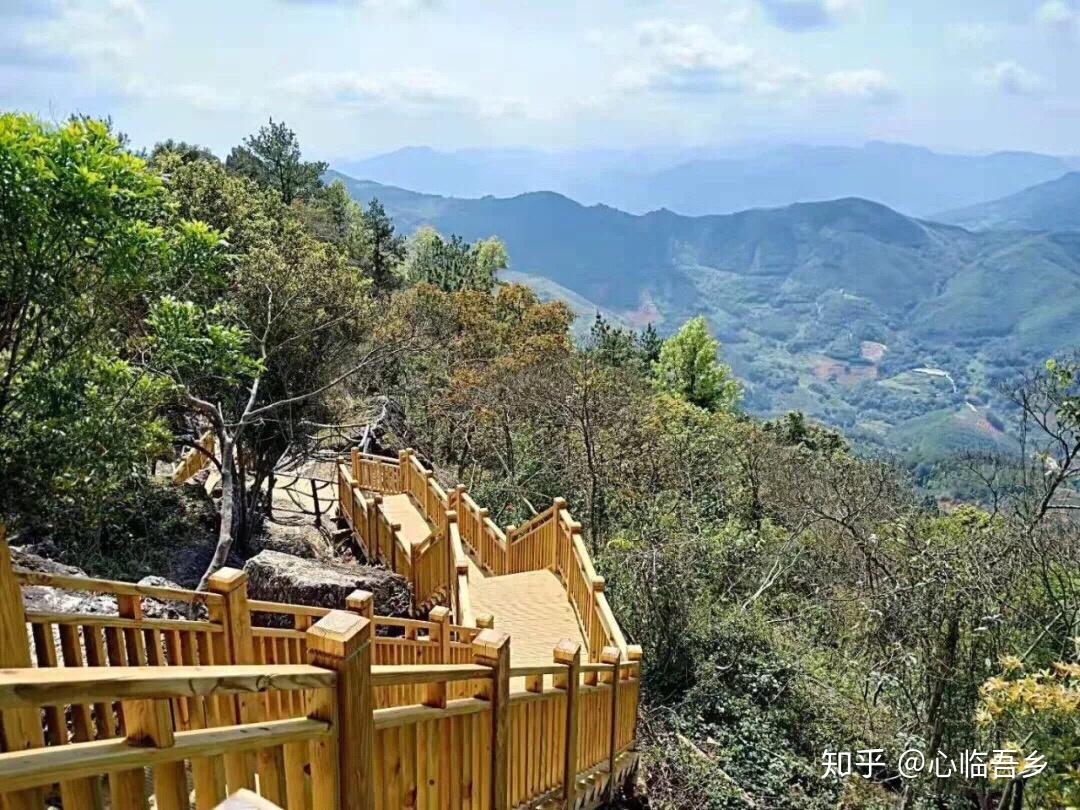 華安麒麟山地質公園許你一片浪漫花海