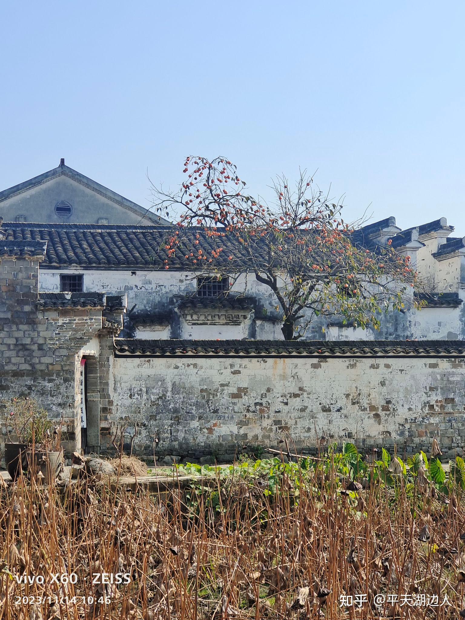 青阳陵阳古镇风景点图片