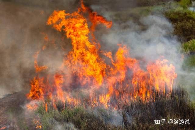 广州成珠楼藏了百年的事件一夜间新娘宾客被烧死事情却还没完