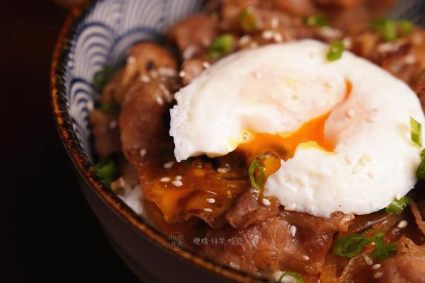 牛丼为何物？教你做一碗地道的牛肉丼 知乎 3772