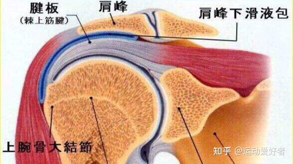 肩周炎多久能恢復