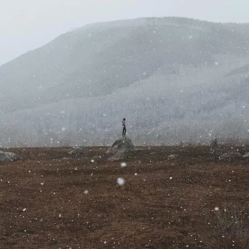 色彩点缀雪天为我们提供了绝佳的纯白背景