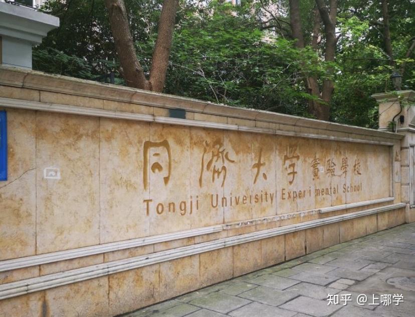11,同济大学实验学校小学部
