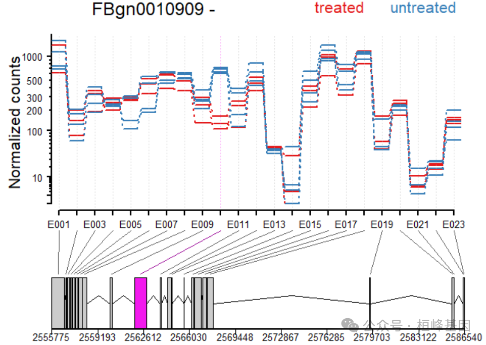 Dexseq RNA 43. 基于转录组的外显子差异分析(DEXSeq) - 知乎