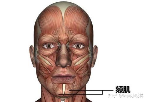 下巴凹凸不平 原来是这个原因 知乎