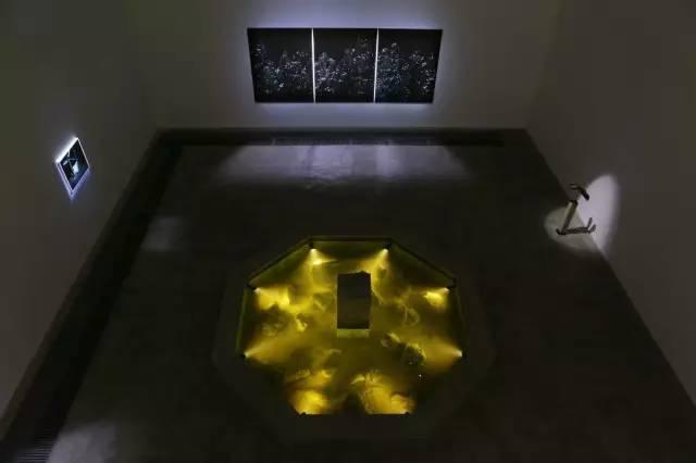 ARTYOO 观点 | 陈维个展 - 知乎