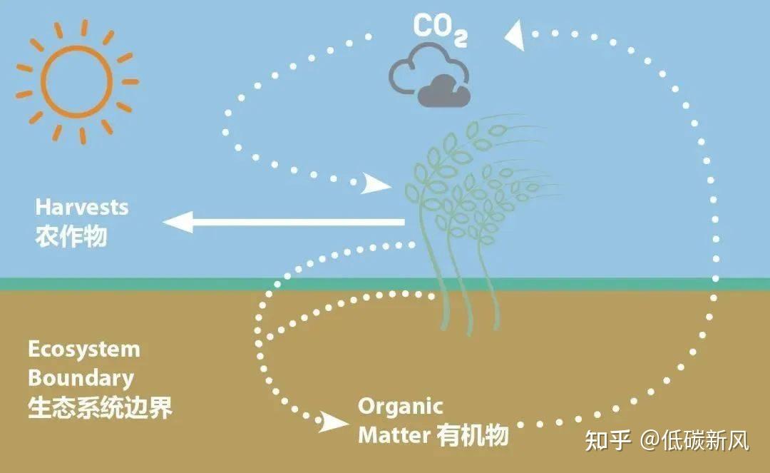 农业碳汇项目:开发方法学、开发流程图、交易案例 - 知乎