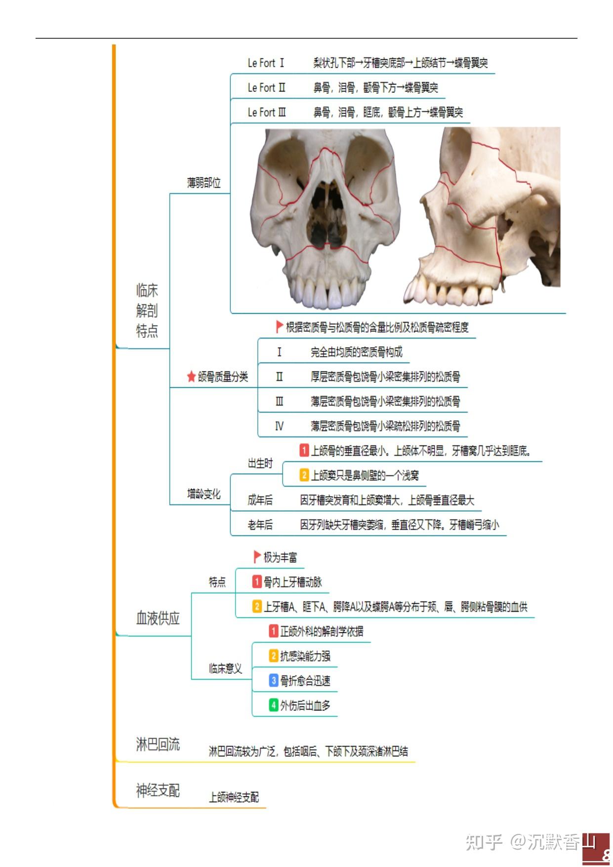 口颌面颈部肌思维导图