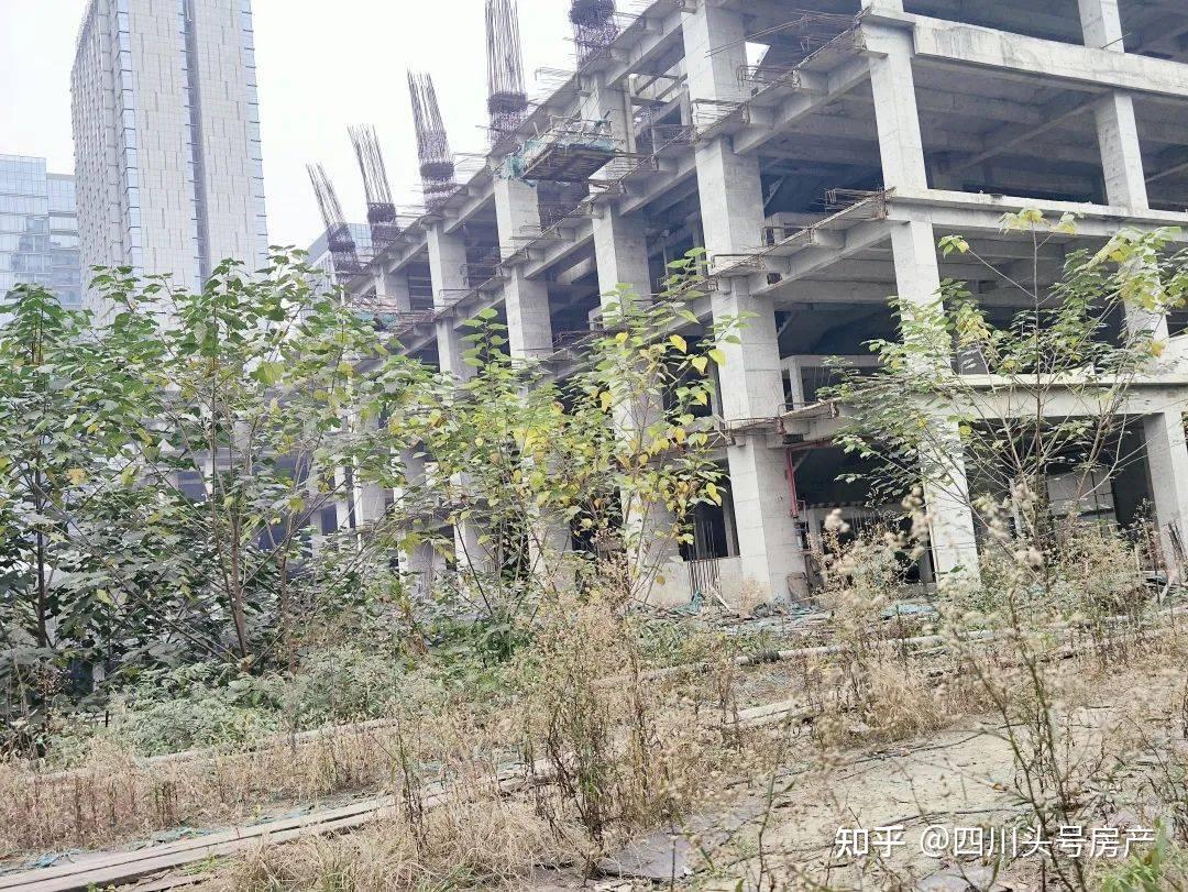 海峡友谊大厦规划方案调整公示 成都金融城知名烂尾楼将重启 - 知乎