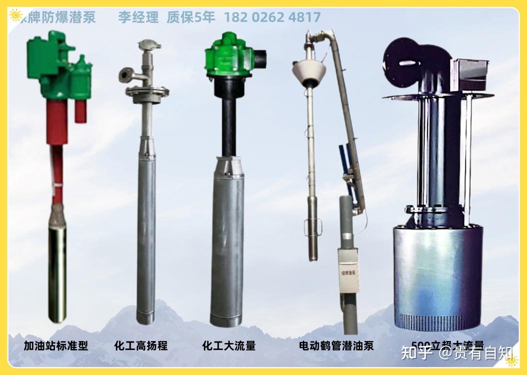 化工液下屏蔽泵0区防爆级别无气组不泄露替代自吸泵 - 知乎