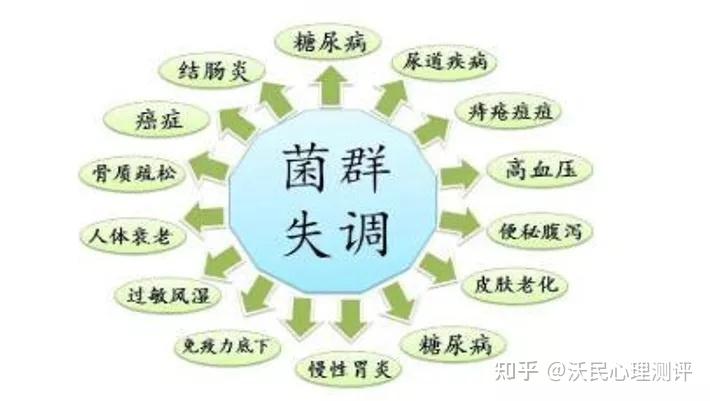 菌群失调百病丛生如何调节肠道菌群健康
