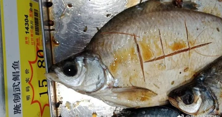 您可能吃到了假鱼闲聊鲳鱼作者暮晖熠熠乐乐