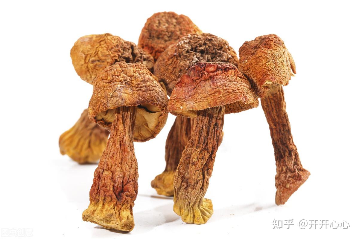医生不会告诉你脑供血不足平时多吃5种食物就会有很大帮助