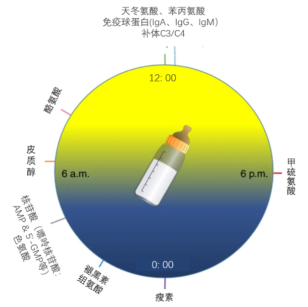 營養薦讀母乳成分的晝夜變化及對嬰幼兒餵養的啟示