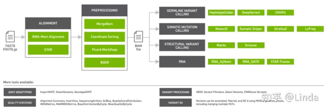 NVIDIA Clara Parabricks 版本v3.6 添加了 GPU 加速工具-用于癌症和生殖细胞分析 - 知乎