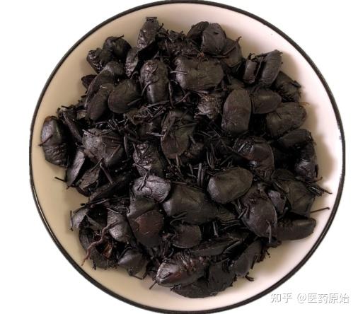 带你识别九香虫