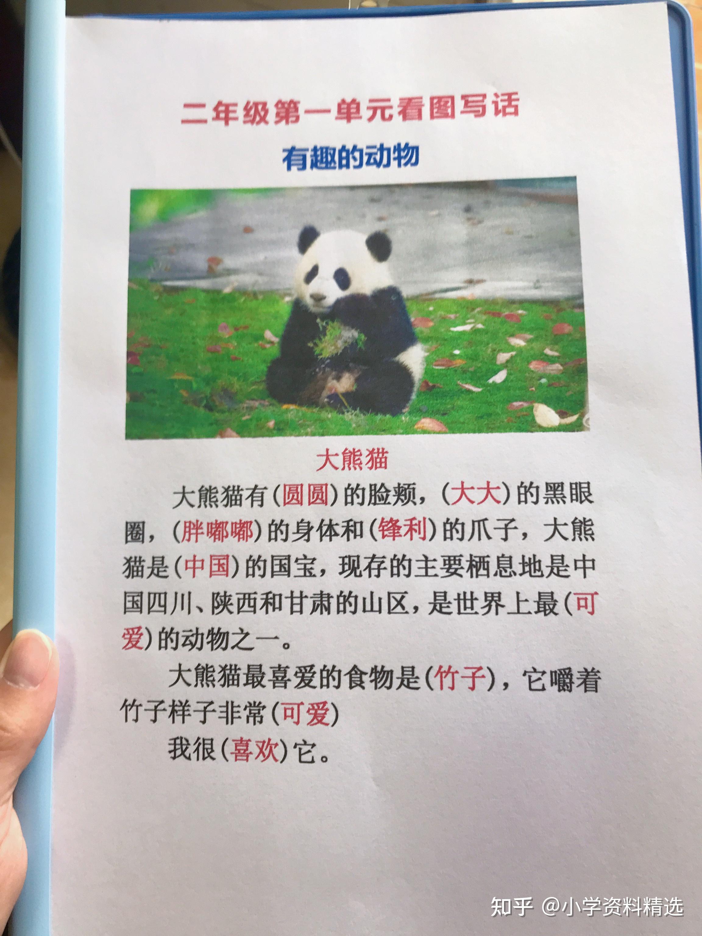 CSGO完美竞技平台怎么解除新手限制 知乎