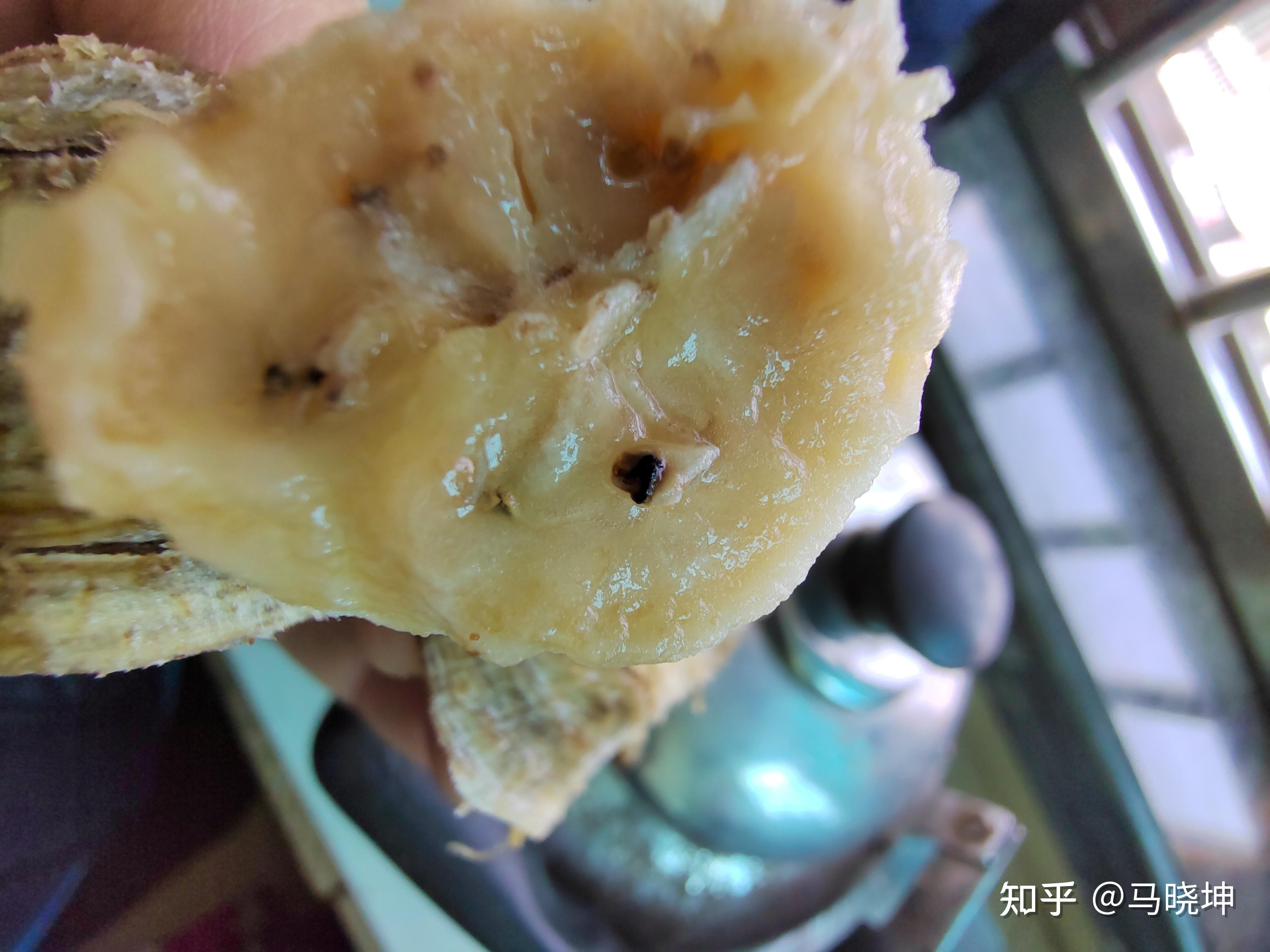 香蕉里面的小黑点到底是啥