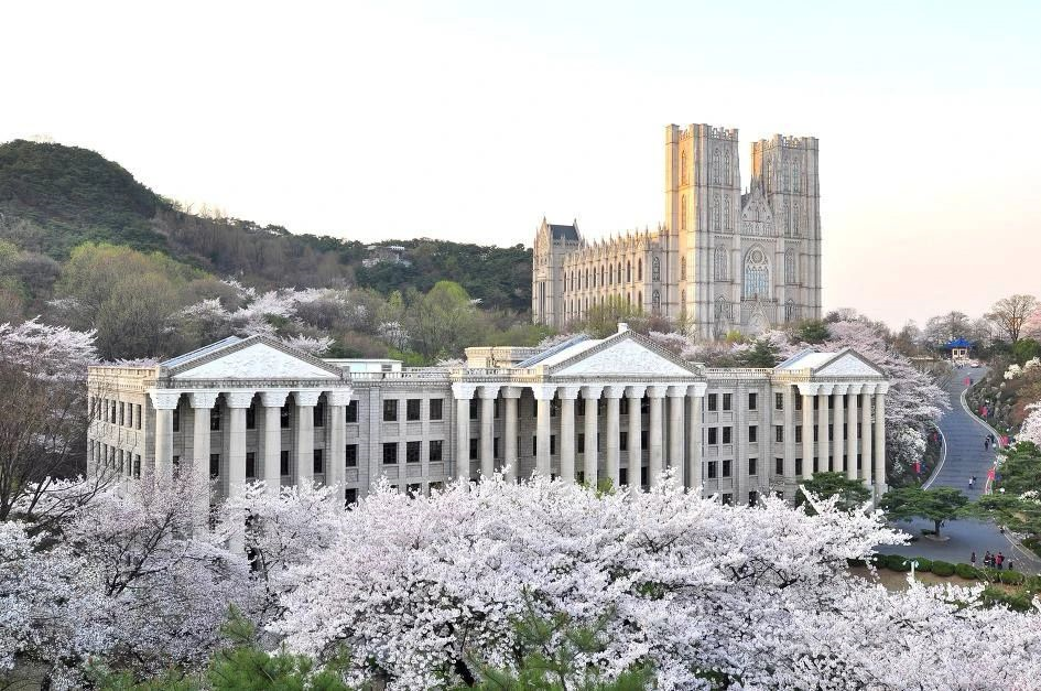 韩国仁川大学图片