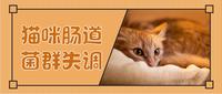 猫咪肠道菌群失调可发展为败血症 养护3大tips请查收 知乎 猫咪肠道菌群失调可发展为败血症 养护3大tips请查收 知乎