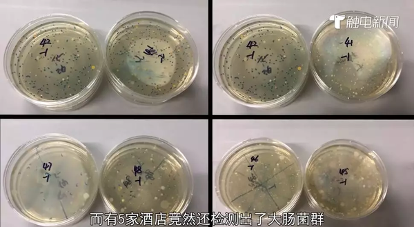这些快捷酒店涌现细菌,大肠菌群,7天,汉庭等酒店还检出致病菌!