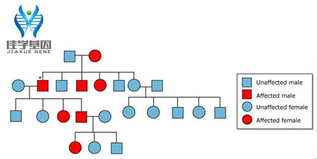 基因檢測基因科普如何阻斷家族遺傳病的遺傳
