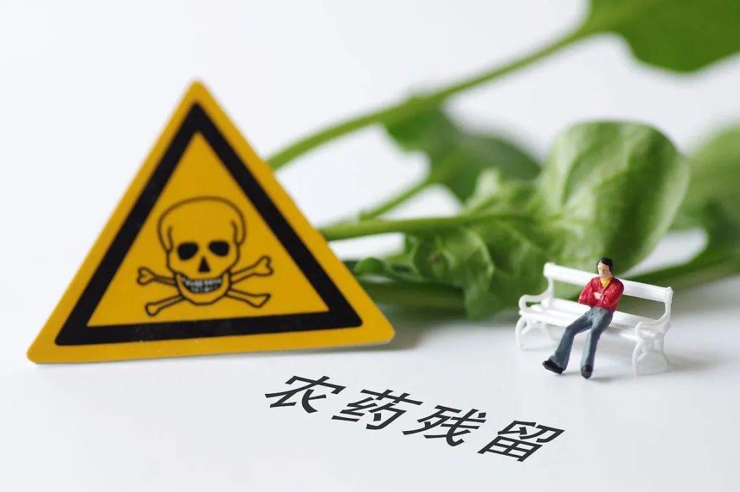 农药市场乱象 化学污染引深思