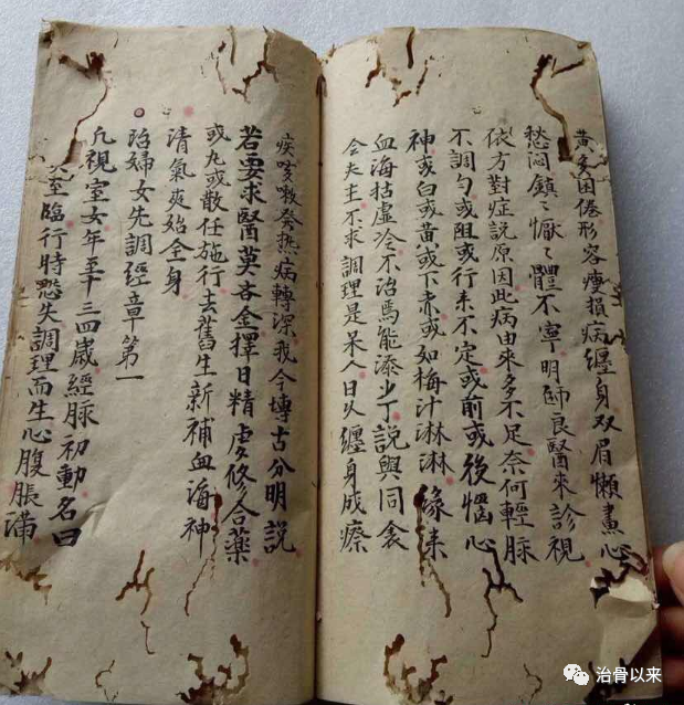 龙眼肉四钱,黑枣四钱,田七片钱半,生鳖甲五钱,新鲜螺肉一两,江瑶柱三