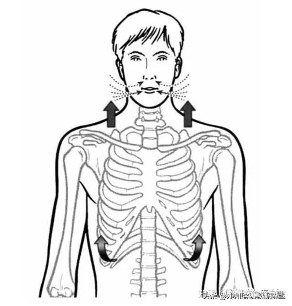 肋骨外翻锁骨窝凹陷肩背疼痛都是呼吸惹的祸或许你需