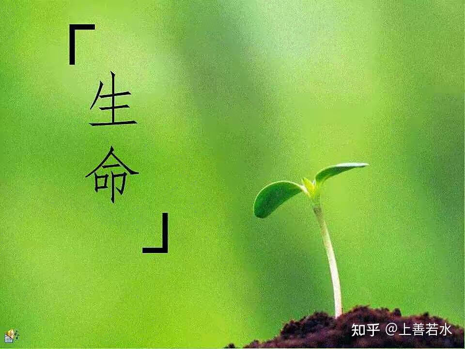 诺贝尔文学奖——《生命的意义》 - 知乎