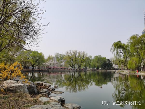 我要看现在的生猪价格_生猪价格是_生猪价格看现在要涨还是跌