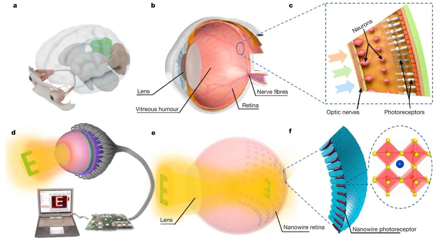 v2-5097593cfaeee32dec88a7cbb85e5271_1440w.jpg?source=172ae18b