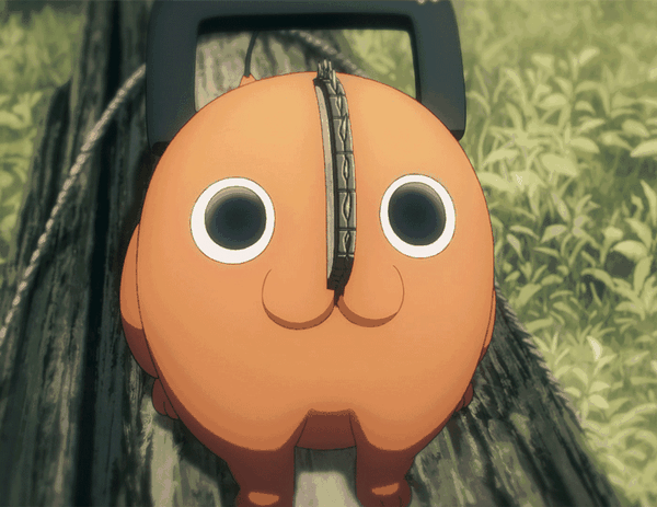 为什么说“啵奇塔”是世界上最好的小狗？ 知乎