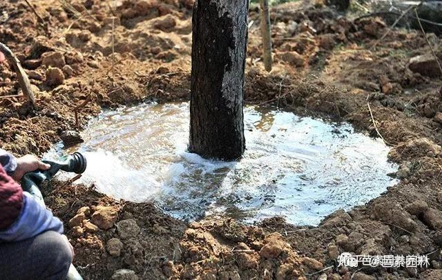 于寒潮来临之前(即土地封冻前),灌足一次水,称为"灌防冻水"
