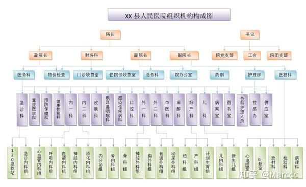 知识普及医院的科室设置架构图及分类