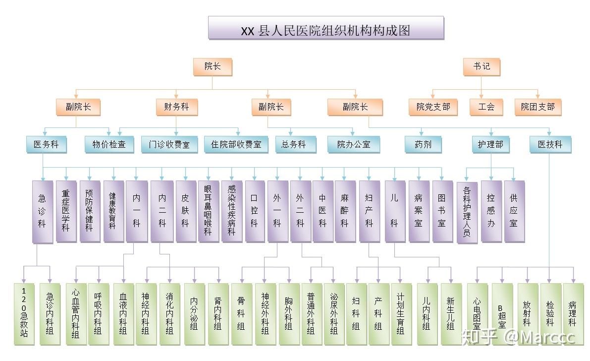 知识普及:医院的科室设置架构图及分类 - 知乎