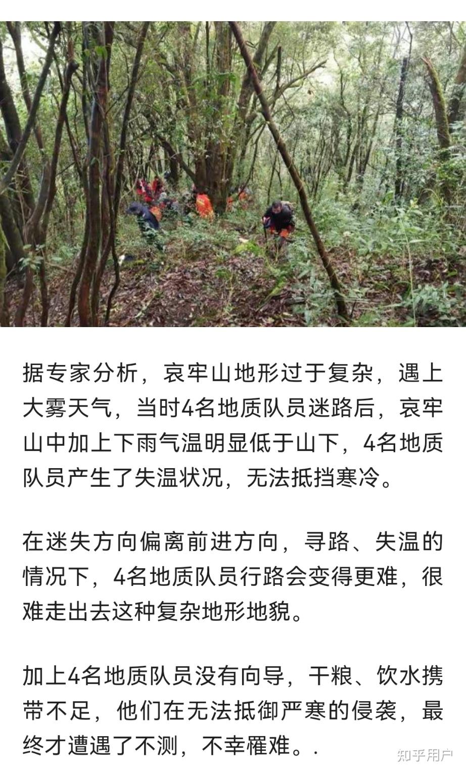 云南哀牢山失联事件图片