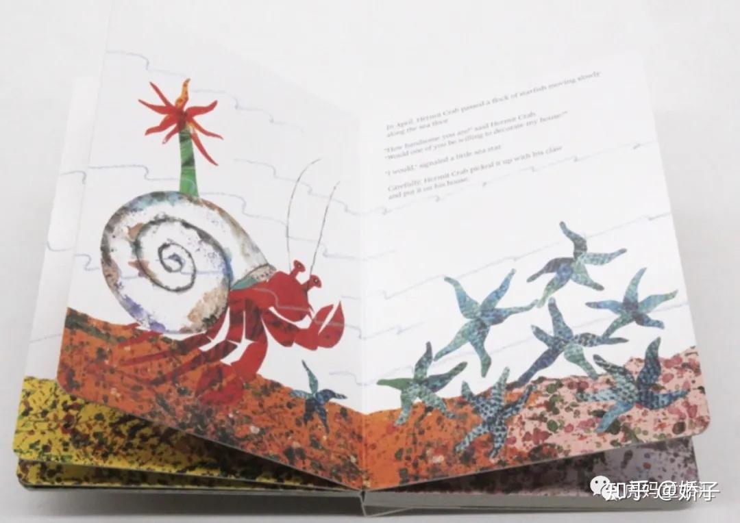 a house for hermit crab   《寄居蟹的家》