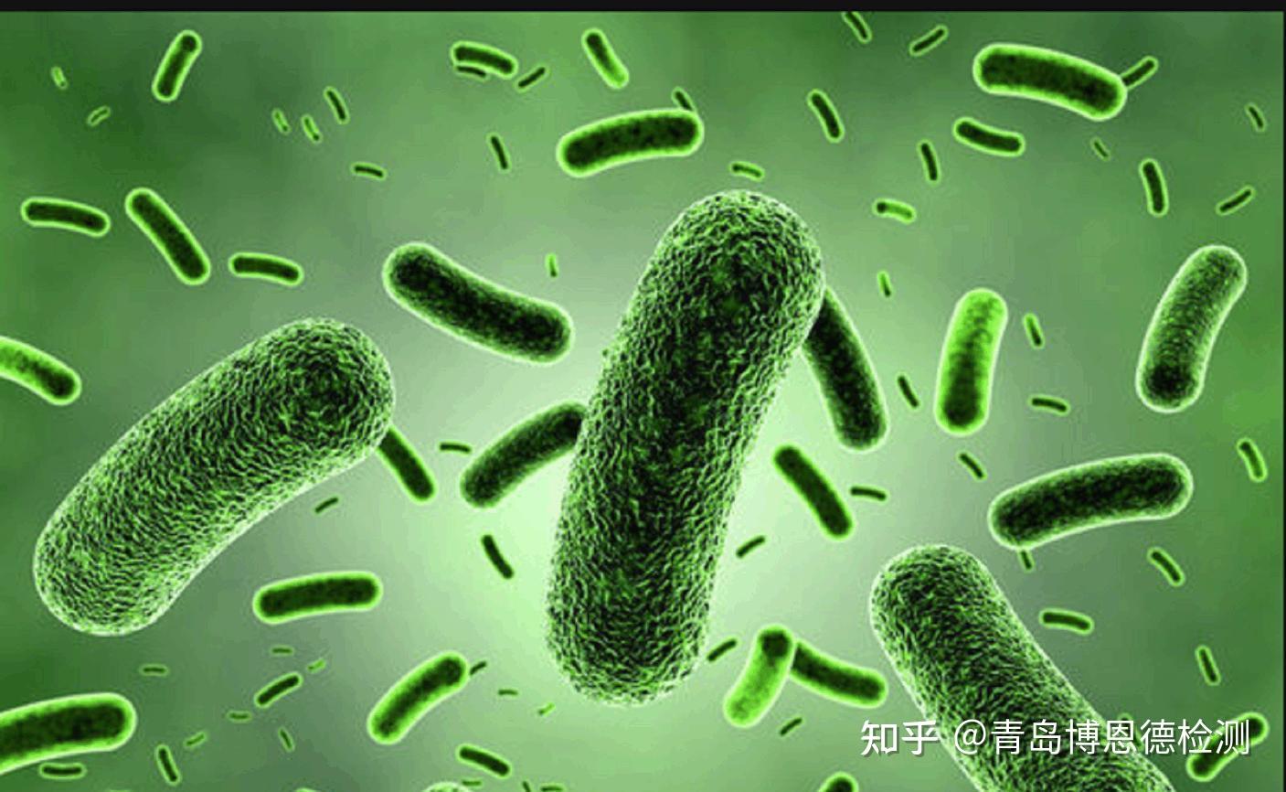 内毒素对血液循环系统的影响及机理-科德角国际生物医学科技（北京）有限公司
