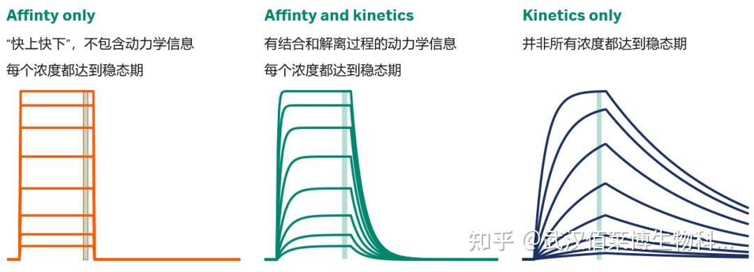 表面等离子共振 (SPR) 实验技术 - 知乎