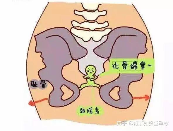 散步是孕期最好的运动方式吗 知乎