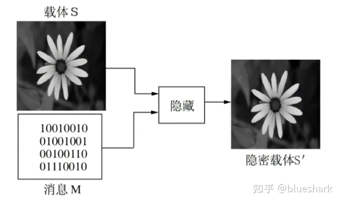 隐写文件的识别和解码工具——国内首款隐写术识别软件（隐译） - 知乎