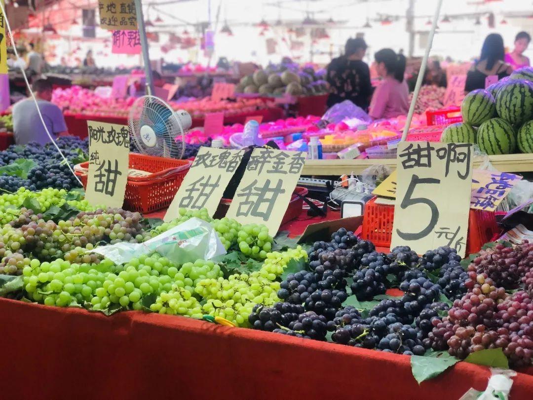 屎爬儿田间常客-蜞蚂儿音乐家-灶鸡子夜行者-偷油婆大眼萌-丁丁猫儿