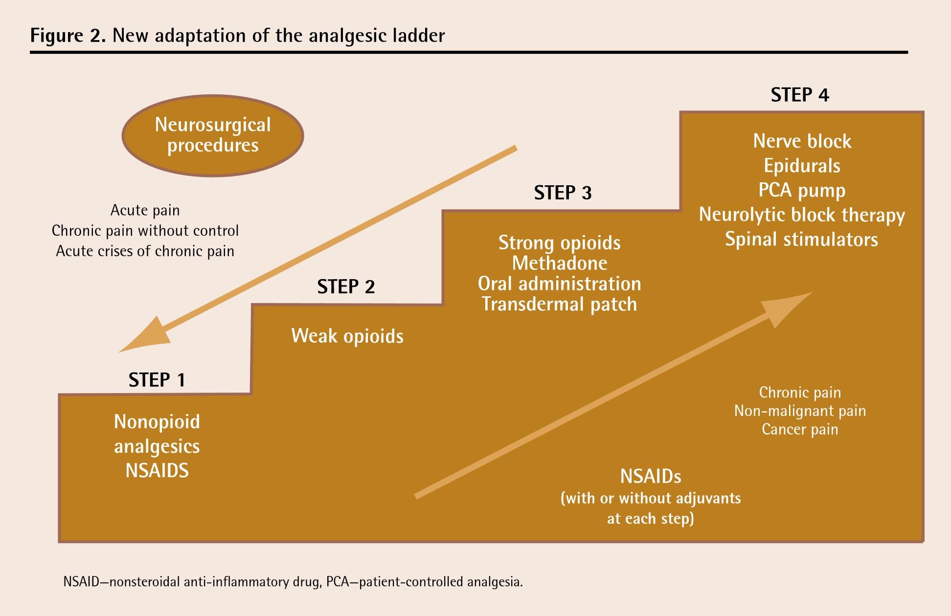 辅助用药阶梯治疗指南中,另外一类是adjuvants,意为