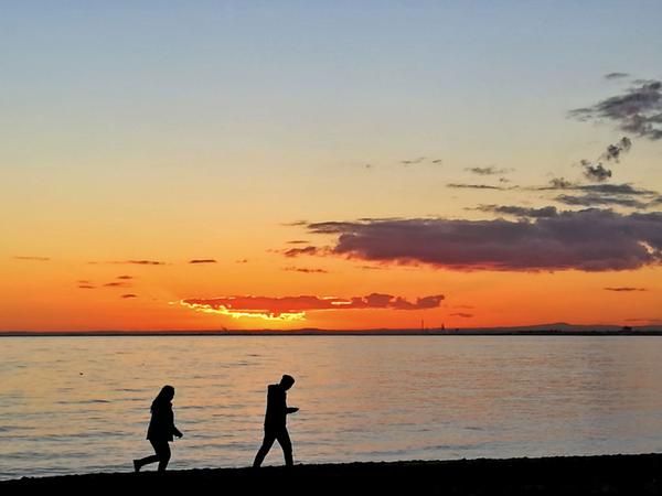猫本brighton beach,夕阳下追逐的情侣.