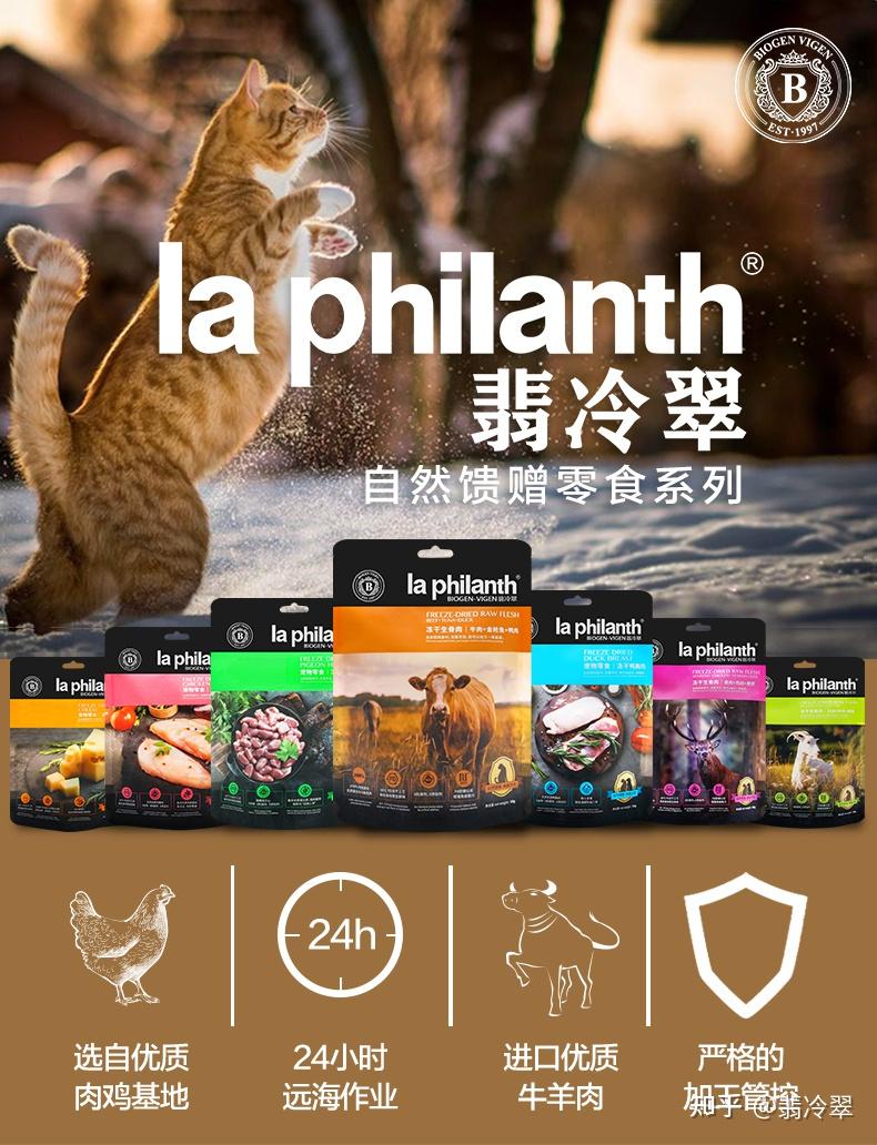 翡冷翠第一次养猫猫粮怎么选